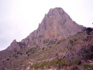 cim puig campana