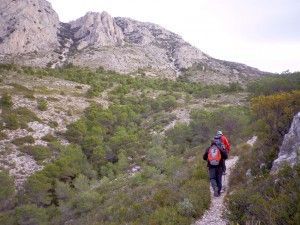 piuig campanaJPG