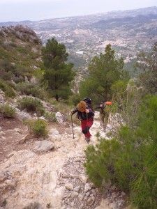 puig campana
