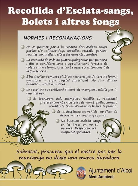cartellbolets