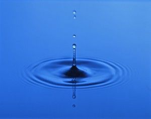 mindfulness lesmuntanyes