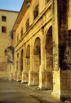 Cursos d'estiu UA