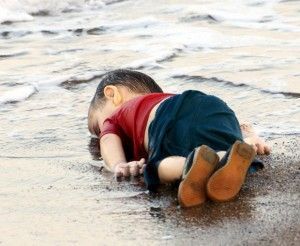 Aylan alcoi