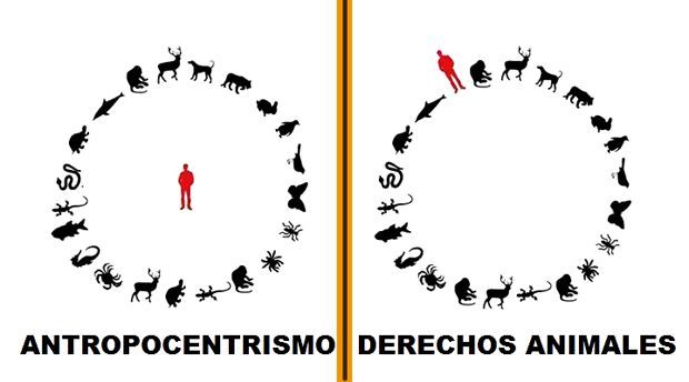 antropocentrismo