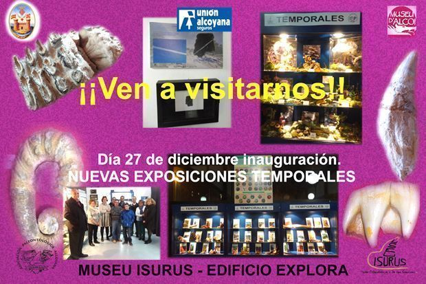 museu isurus alcoi exposicions desembre 2015