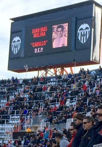 Cabillo alcoyano