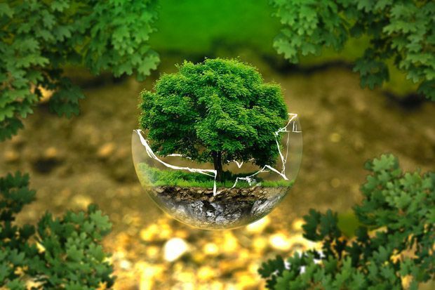 apagar_llums_wwf_canvi_climatic_alcoi